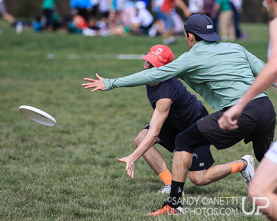 Fools Fest 2019 - Sunday Action