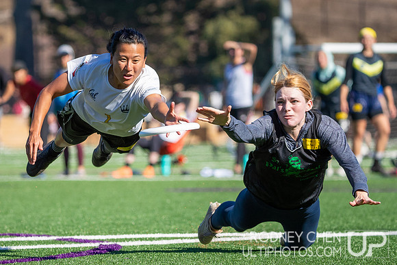 2023 Bay Area Falcons Tryouts