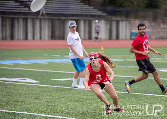 YULA 2019 Open Dev
