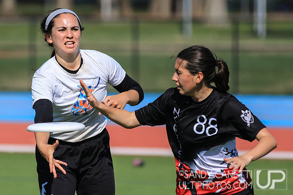 Saturday - Eastern Metro East D-1 College Women's Conference Championships