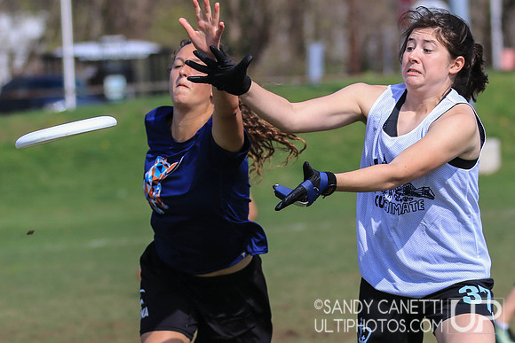 Sunday - Eastern Metro East D-1 College Women's Conference Championships