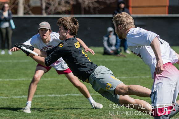 Sam Swisher lays out for bookends, securing Colorado University CUCU's bid to regionals