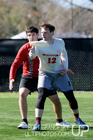 Redline vs Elite Alumni Game - Harvard Ultimate 40th Reunion