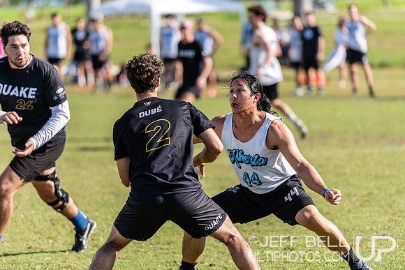 Pan American Ultimate Championships