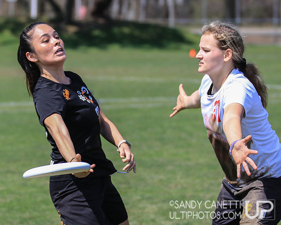 Saturday - Eastern Metro East D-1 College Women's Conference Championships
