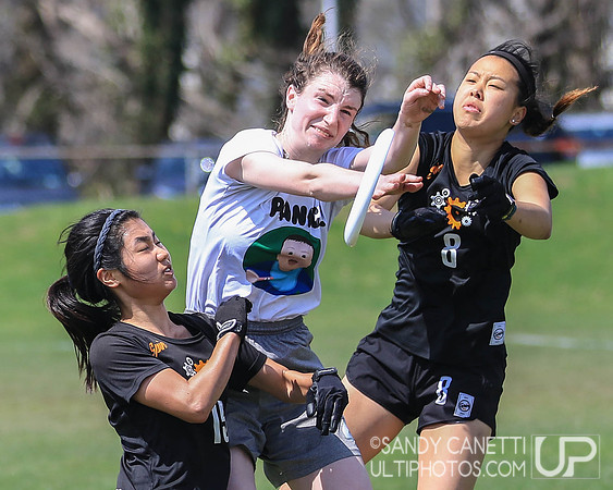 Saturday - Eastern Metro East D-1 College Women's Conference Championships