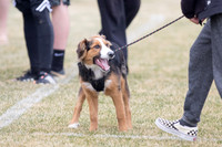 Indy Invite HS 2019 - Saturday Round 2