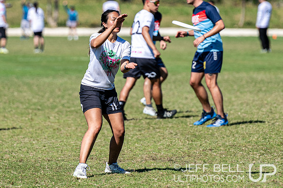 Pan American Ultimate Championships