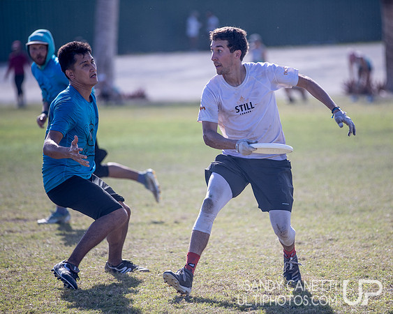 Day 4 of WFDF 2023 Pan American Championships