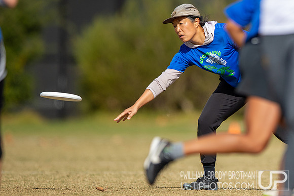 Day 6 of the WFDF 2024 World Masters Ultimate Championships