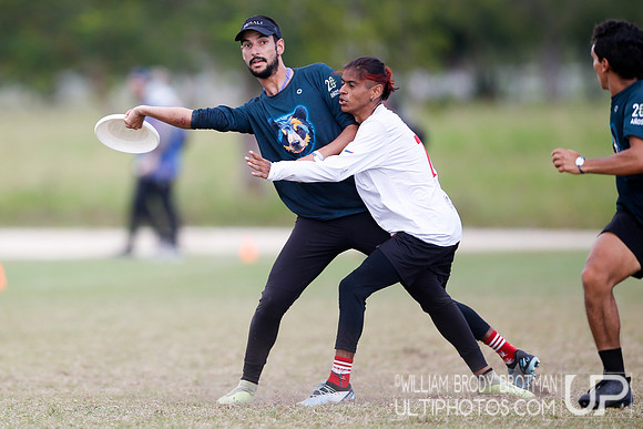 Day 4 of WFDF 2023 Pan American Ultimate Championships.