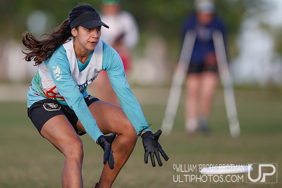 Day 4 of WFDF 2023 Pan American Ultimate Championships.