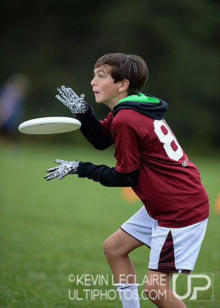 WAFC Fall Fling 2021 Sunday - HS 11:30am round