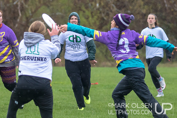 USAU Great Lakes College Regionals  - D3 Womens Final