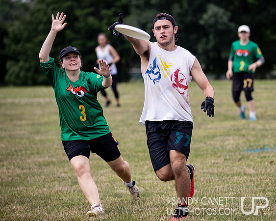LVU's Disc Days of Summer