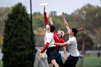 Harvard 40th Ultimate Reunion