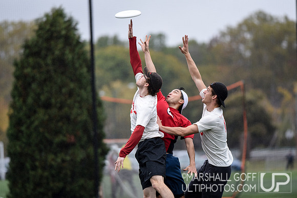 Harvard 40th Ultimate Reunion