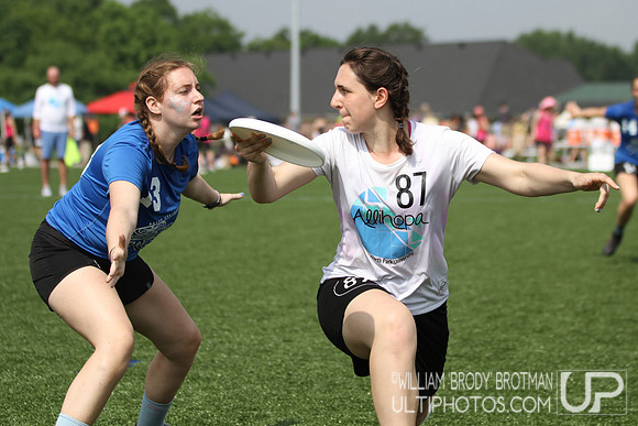 Day 2 of USA Ultimate D-III College Championships