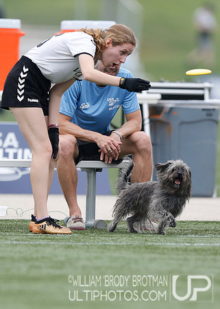 Day 2 of USA Ultimate D-III College Championships