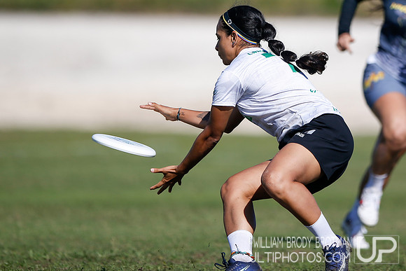 Day 2 of WFDF 2023 Pan American Ultimate Championships.