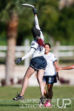 Day 2 of WFDF 2023 Pan American Ultimate Championships.