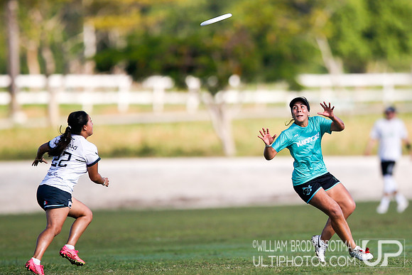 Day 2 of WFDF 2023 Pan American Ultimate Championships.
