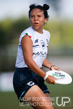 Day 2 of WFDF 2023 Pan American Ultimate Championships.