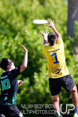 Day 2 of WFDF 2023 Pan American Ultimate Championships.
