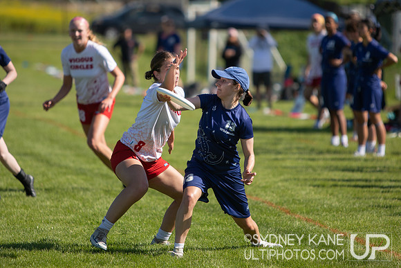 2024 USA Ultimate Division III College Championships