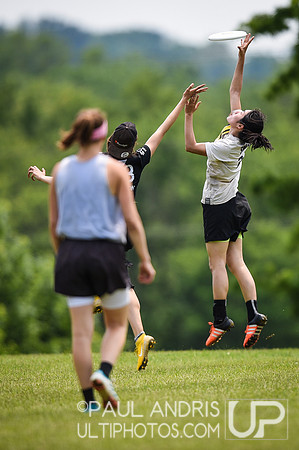 2019 New York Warm Up