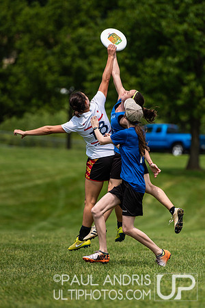 2019 New York Warm Up