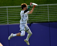 Boys D1 Final - Minnesota High School State Championships 2019