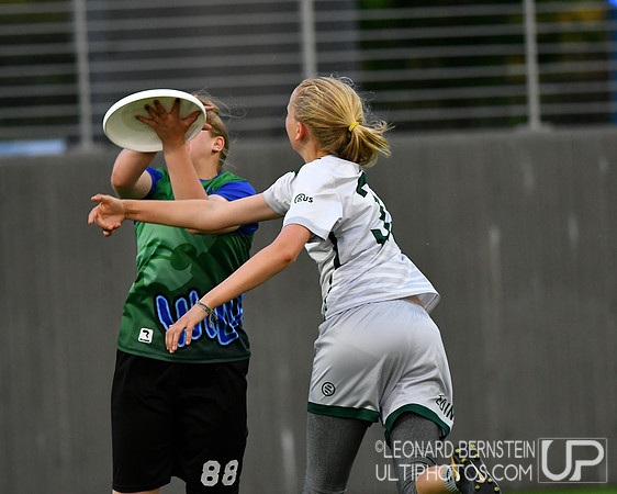 Girls D1 Final - Minnesota High School State Championships 2019