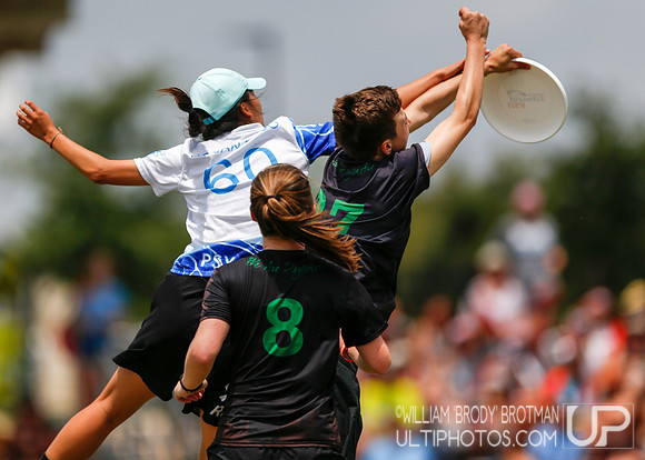 Day 4 of  USA Ultimate D-I College Championships