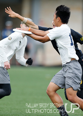 Day 3 of  USA Ultimate D-I College Championships