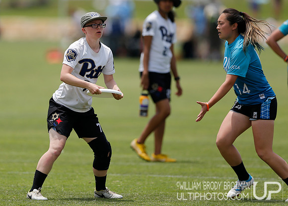 Day 2 of  USA Ultimate D-I College Championships