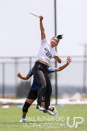 2019 USAU D1 College Ultimate National Championships