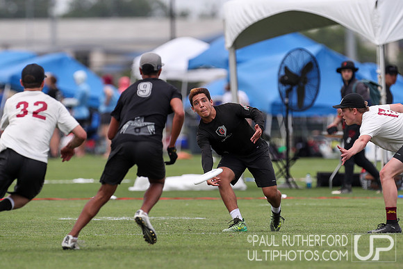 2019 USAU D1 College Ultimate National Championships