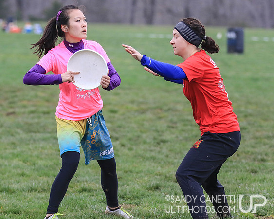 Fools Fest 2019 - Saturday Action