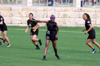 2019 USAU D1 College Ultimate National Championships