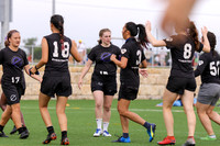 2019 USAU D1 College Ultimate National Championships