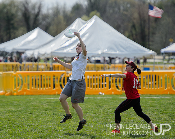 Fools Fest 2019 Sunday