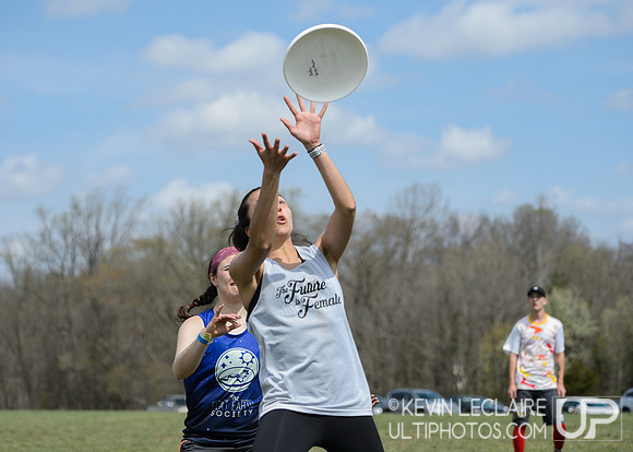 Fools Fest 2019 Sunday