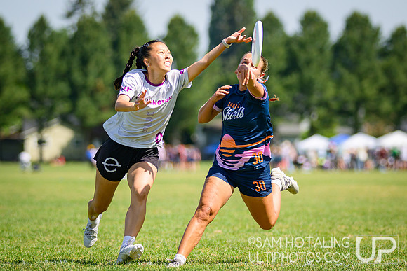 Highlights: pool play at USAU D-I College Championships