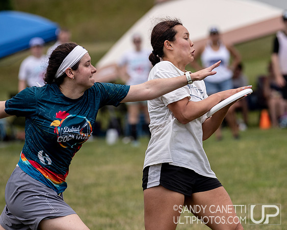 LVU's Disc Days of Summer