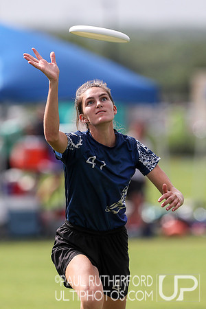 2019 USAU D1 College Ultimate National Championships