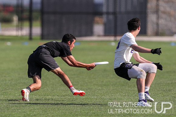 2019 USAU D1 College Ultimate National Championships