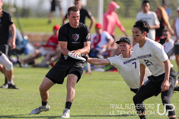 2019 USAU D1 College Ultimate National Championships