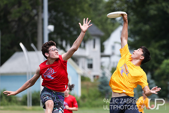 National Ultimate Training Camp - Session B 2019.