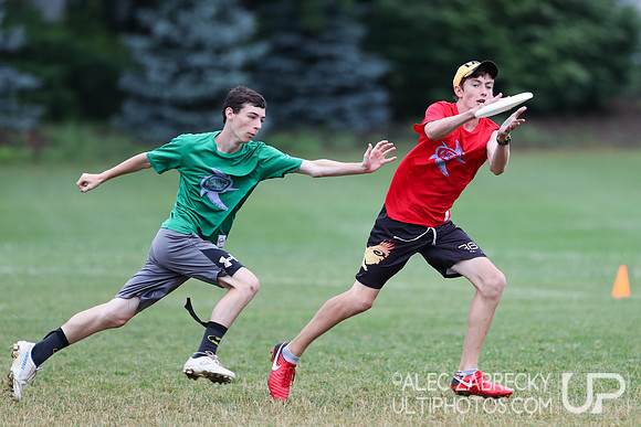 National Ultimate Training Camp - Session B 2019.